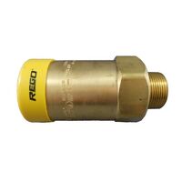 CATERING RESTAURANT REGO RELIEF VALVE 250PSI 1 1/4NPT