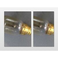 2 Westinghouse Boss 650 Gas Oven Lamp Light Bulb Globe GXN650SLP*38 GXN650SNG*38