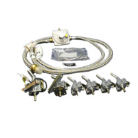 Genuine Natural Gas Conversion Kit Discovery 1000E/ES For Beefeater BDMG324SA BBQ Spare Part No: BD6192