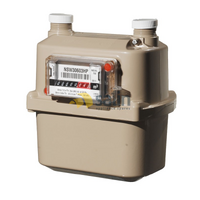 750 Series Domestic Gas Meter for LPG CARAVAN SHOP RESTUARANT