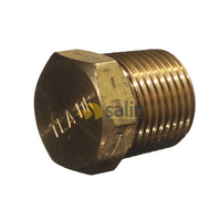 1/8″ MBSPT Taper Plug for LPG CARAVAN SHOP RESTUARANT