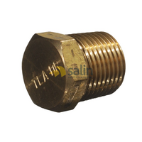 3/4″ MBSPT Taper Plug for LPG CARAVAN SHOP RESTUARANT