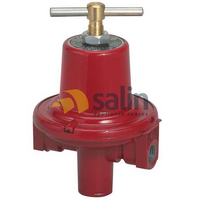 Adjustable High-Pressure Regulator 10-30 PSI 1/4″ size for LPG CARAVAN SHOP RESTUARANT