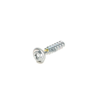 MIELE RAISED HEAD SCREW 5X24