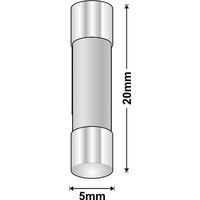 AFD Ceramic Fast Blow Fuse | Rating: 125 mA | Dimensions: 2AG 5mm x 20mm