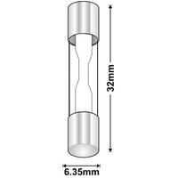 AGF 32V Fast Fuse | Rating: 10 A | Dimensions: 3AG 6.35mm x 32mm