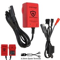 SLA BATTERY CHARGER - ICS1 