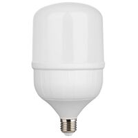 45W LED LIGHT BULB E27 SCREW TYPE 10” 