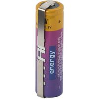 Ni-Mh AA Tagged Battery Prolink | Capacity: 2700mAh | 1.2V