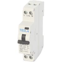 RCD/MCB COMBO LONG-TAIL 1 DIN 