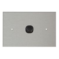 HORIZONTAL SWITCH WITH STAINLESS STEEL WALL PLATE 