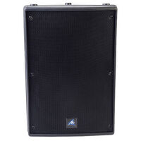 XRS 10 INCH PASSIVE SPEAKER 250W BLACK 