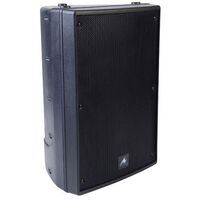 XRS 12 INCH PASSIVE SPEAKER 300W BLACK 